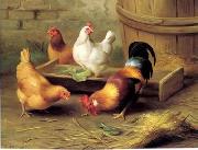 unknow artist Cocks 134 oil painting reproduction